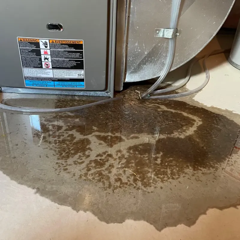 Appliance Leak Cleanup in Howard City, MI